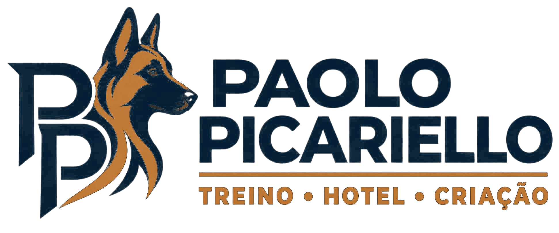 logo-paolo-transparente